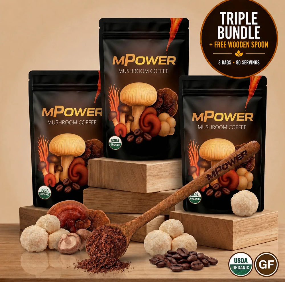 FuelMPOWER Mushroom Coffee (3 Bags) + Wooden Spoon