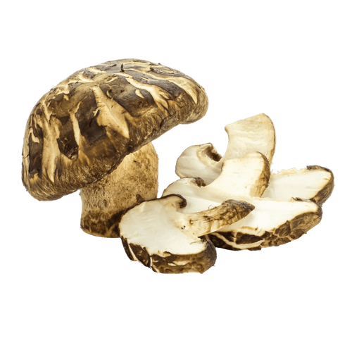 Shiitake