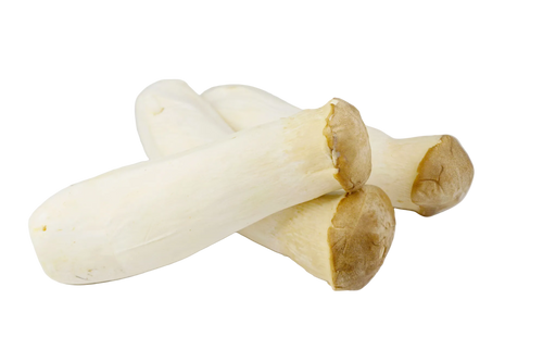 King Trumpet