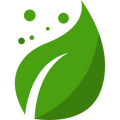 Clean Ingredients