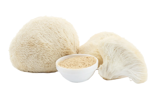 Lion’s Mane