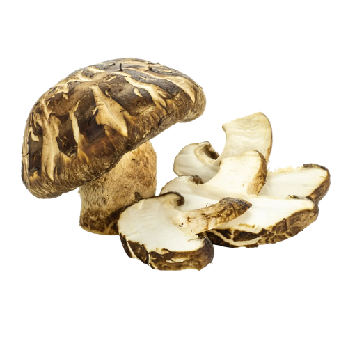 Shiitake